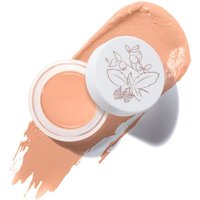 Fruit Pigments Long Last Concealer + Super Fruits - Golden Peach