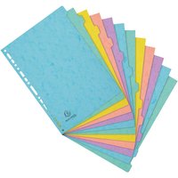 15 Exacompta Register "Aquarel", Colorspan, 12 Taben neutral, 400 g/m², DIN A4, sortiert