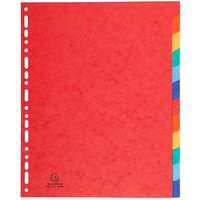 15 Exacompta Register, Colorspan-Karton, 12 Taben neutral, 400 g/m², DIN A4 Maxi, sortiert