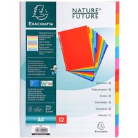 25 Exacompta Register, Colorspan-Karton, 12 Taben neutral, 400 g/m², DIN A4, sortiert