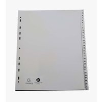 5 Exacompta Register, 31 Taben numerisch, 120 µ, DIN A4 Maxi, grau