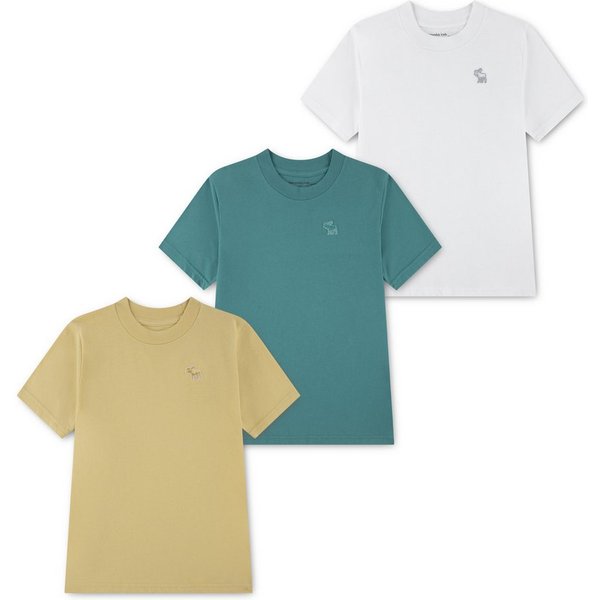 Abercrombie Kids T-Shirt (Packung, 3-tlg., 3er) Gesticktes Markenlogo