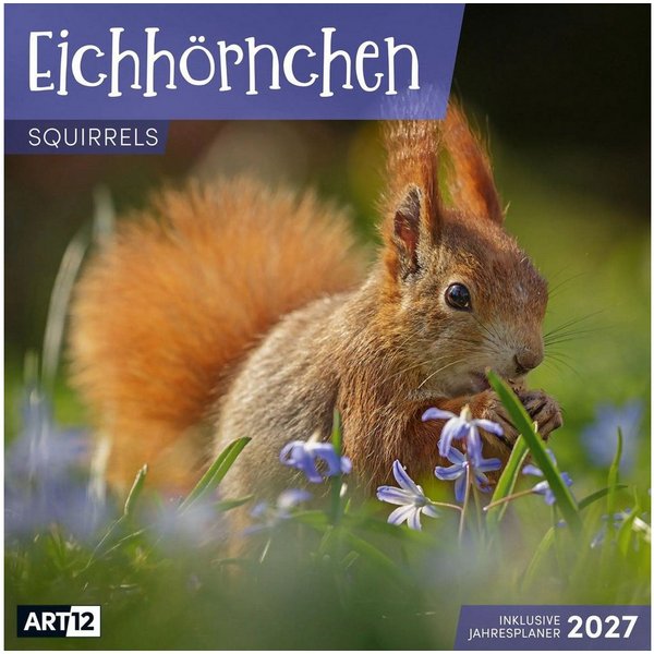 Ackermann Wandkalender Eichhörnchen Kalender 2027 - 30x30 - Art12