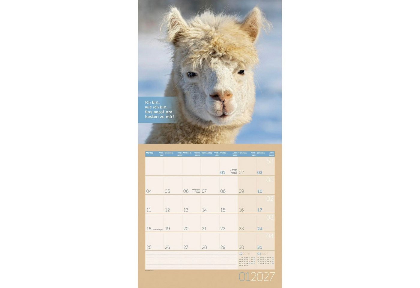 Ackermann Wandkalender No Drama, Lama Kalender 2027 - 30x30 - Art12 – Bild 2 von 5