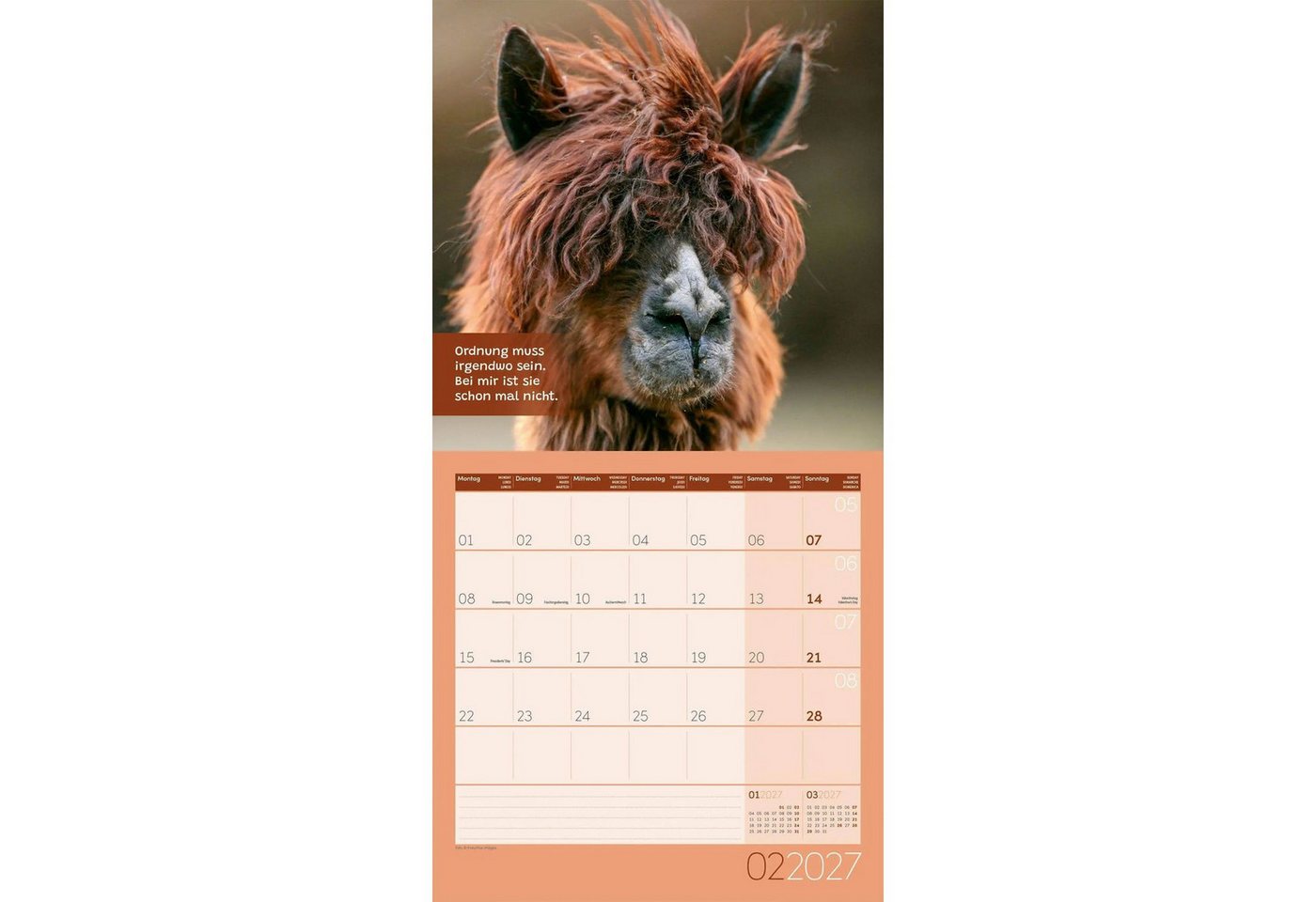 Ackermann Wandkalender No Drama, Lama Kalender 2027 - 30x30 - Art12 – Bild 3 von 5