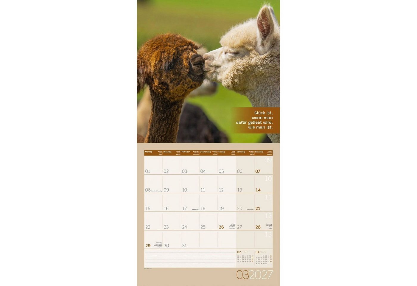 Ackermann Wandkalender No Drama, Lama Kalender 2027 - 30x30 - Art12 – Bild 4 von 5
