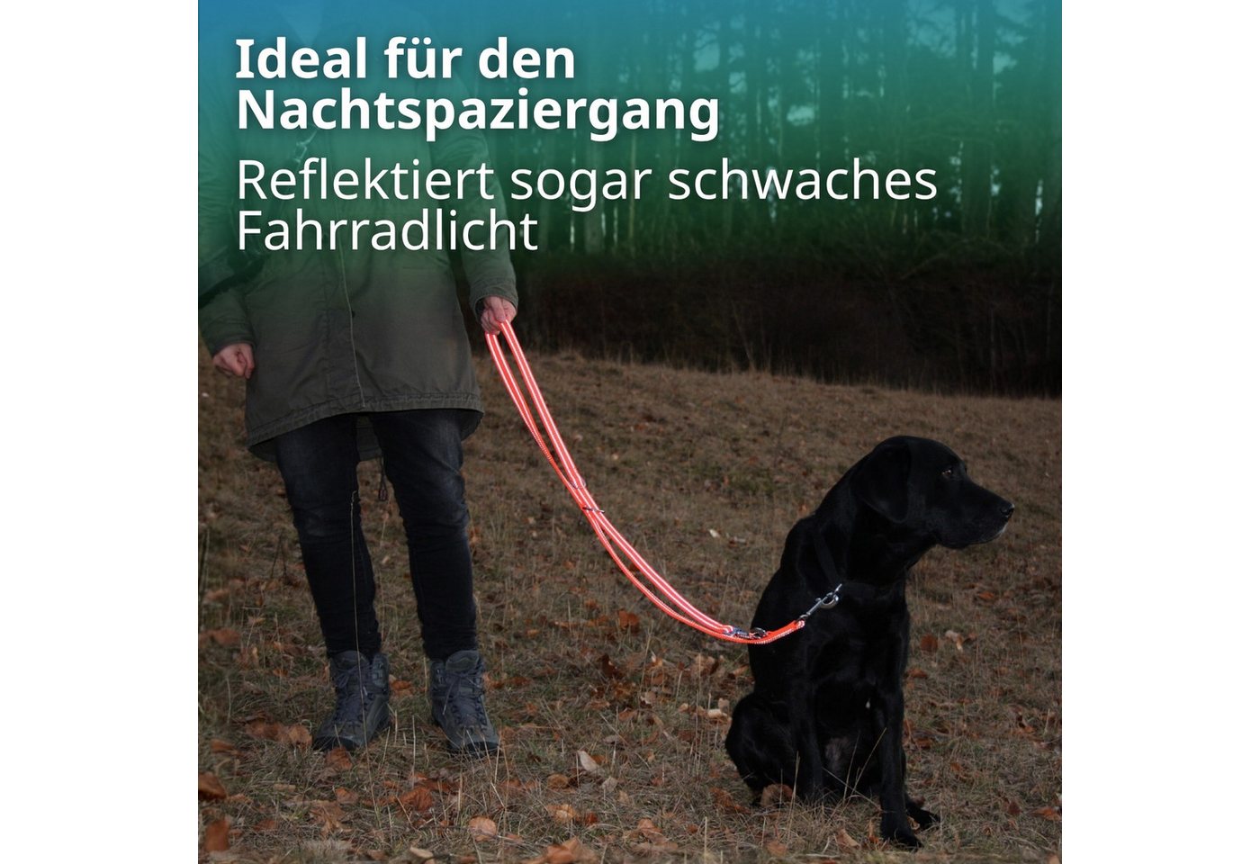 Activity4Dogs Hundeleine große Hunde, reflektierend, orange, 2 m, 3-fach verstellbar, über 4 mm dick, ohne Elektronik, made in Germany – Bild 4 von 5