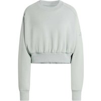 ADIDAS Damen Sweatshirt Soft Lux, Größe XS in Silber