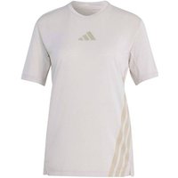 ADIDAS Damen T-Shirt Terrex Xperior CLIMACOOL+, Größe XXS in Grau