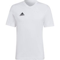 ADIDAS Herren Fanshirt Entrada 22 (normal & lang), Größe L in Pink