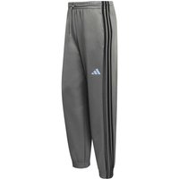 ADIDAS Herren Hose Stadium, Größe M in Grau