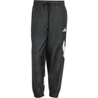 ADIDAS Herren Hose Stadium, Größe S in Grau