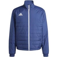 team navy blue 2 (Herren)