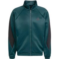 ADIDAS Herren Jacke Stadium, Größe M in Grün