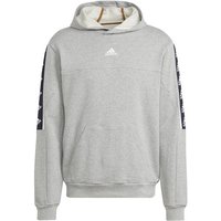 ADIDAS Herren Kapuzensweat M BL HD, Größe S in Grau