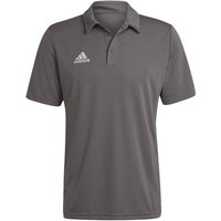 ADIDAS Herren Polo Entrada 22 (normal & lang), Größe XS in Grau