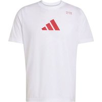 ADIDAS Herren Shirt CLIMACOOL Category Training Graphic, Größe M in Pink