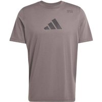 ADIDAS Herren Shirt CLIMACOOL Category Training Graphic, Größe S in Grau