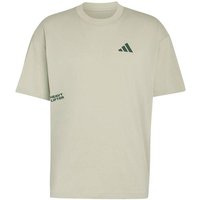 ADIDAS Herren Shirt CLIMACOOL FUN TRAINING Grafik, Größe M in Grün