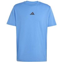 ADIDAS Herren Shirt CLIMACOOL TRAINING IDENTITY GRAPHIC, Größe XL in Blau