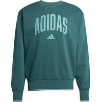 ADIDAS Herren Sweatshirt College Style, Größe XL in Grün