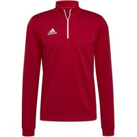 ADIDAS Herren Sweatshirt Entrada 22 Training (normal & lang), Größe S in Rot