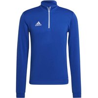 ADIDAS Herren Sweatshirt Entrada 22 Training (normal & lang), Größe XL in Blau