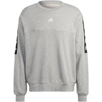 ADIDAS Herren Sweatshirt M BL SWT, Größe S in Silber