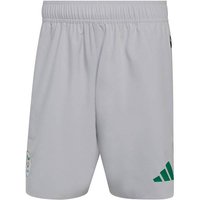 ADIDAS Herren Teamhose Algerien Tiro Tech, Größe XS in Grau
