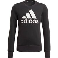 ADIDAS Kinder Essentials Sweatshirt, Größe 164 in Schwarz