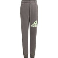 ADIDAS Kinder Hose Essentials Regular Fit Big Logo Cotton, Größe 140 in Grau
