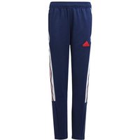 ADIDAS Kinder Hose Tiro Nations Pack Kids, Größe 164 in Blau