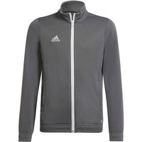 ADIDAS Kinder Jacke Entrada 22, Größe 164 in Grau