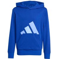 ADIDAS Kinder Kapuzensweat Essentials Kids, Größe 164 in Blau