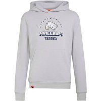 ADIDAS Kinder Kapuzensweat Minecraft Terrex, Größe 140 in Grau