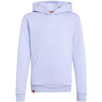 ADIDAS Kinder Kapuzensweat Minecraft Terrex, Größe 176 in Pink