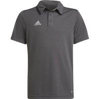 ADIDAS Kinder Polo Entrada 22, Größe 164 in Grau