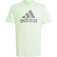 ADIDAS Kinder Shirt Essentials Big Logo Cotton, Größe 140 in Grau
