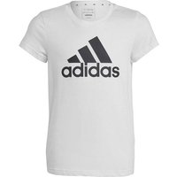 ADIDAS Kinder Shirt Essentials Big Logo Cotton, Größe 170 in Grau