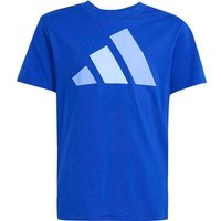 ADIDAS Kinder Shirt Essentials Kids, Größe 152 in Blau