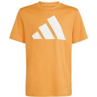 ADIDAS Kinder Shirt TRAIN ESSENTIALS BIG LOGO, Größe 140 in Orange
