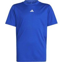 ADIDAS Kinder Shirt Train Essentials Logo Regular Fit Kids, Größe 140 in Blau