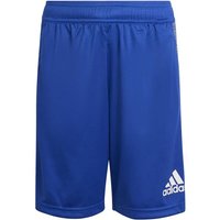 ADIDAS Kinder Shorts B HEATHER SHORT, Größe 128 in Blau