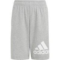 ADIDAS Kinder Shorts Essentials Big Logo Cotton, Größe 152 in Silber