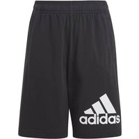 ADIDAS Kinder Shorts Essentials Big Logo Cotton, Größe 152 in Schwarz