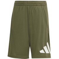ADIDAS Kinder Shorts TRAIN ESSENTIALS BIG LOGO SHORTS, Größe 116 in Grün