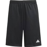 ADIDAS Kinder Shorts Train Essentials Logo Regular Fit Kids, Größe 164 in Schwarz