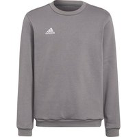 ADIDAS Kinder Sweatshirt Entrada 22, Größe 164 in Grau