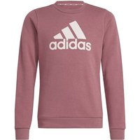 ADIDAS Kinder Sweatshirt Essentials Big Logo Cotton, Größe 164 in Braun