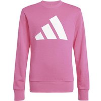 ADIDAS Kinder Sweatshirt Essentials Kids, Größe 152 in Pink